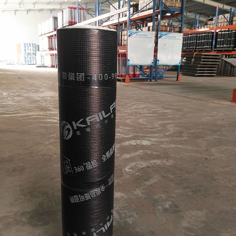 彈性體(SBS)改性瀝青防水卷材與塑性體(APP)改性瀝青防水卷材有什么區(qū)別?